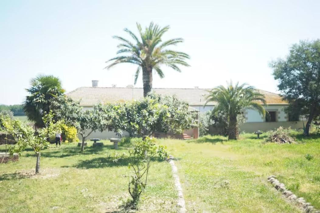 Casa Rural Finca San Bernardo 3 Estrellas Montehermoso Exterior foto